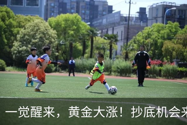 一觉醒来，黄金大涨！抄底机会来了，赶快上车！
