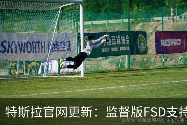 特斯拉官网更新：监督版FSD支持地区不再包含中国